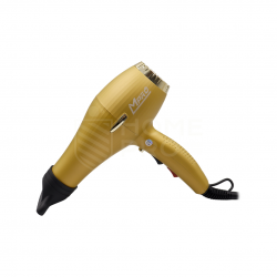 LM PRO LM137 SECADOR 3500W 220V GOLD